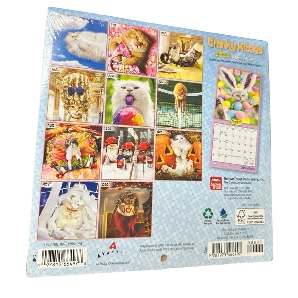 2024 Cranky Kitties 16-Month Calendar (NWT) 😺